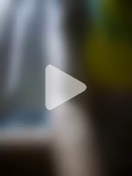 mariposaros4 photo 5