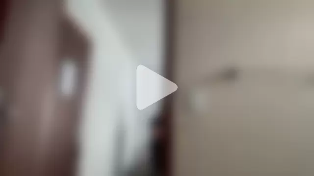 marriedbullbrazil photo 4