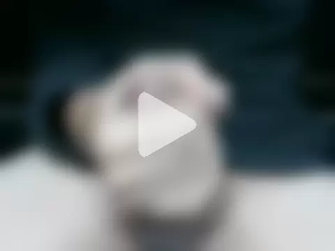 mastercumbr photo 11