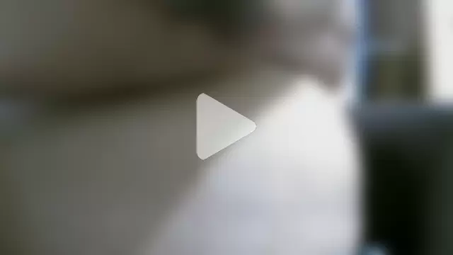 mateo-35audit photo 10