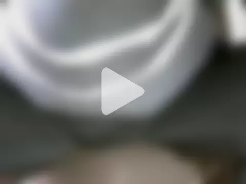 mateo-35audit photo 6