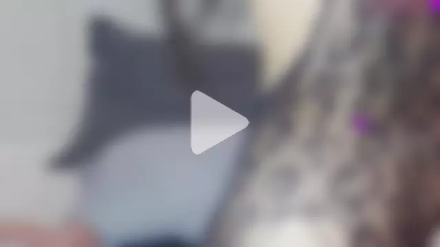 matty_sofia_1 photo 4