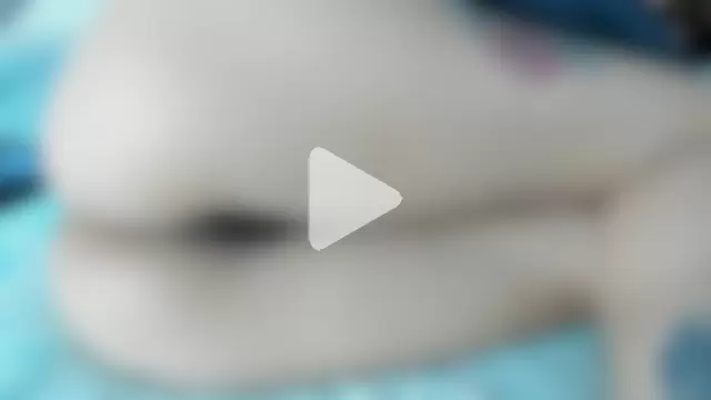 maybelline69 photo 18