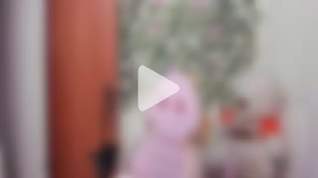 melani_ferraraa_ photo 27