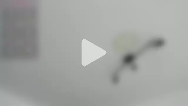 melanie_roux__ photo 11