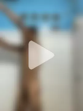 meliodas_23cm photo 22