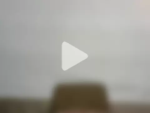 meow_on_da_cam photo 3