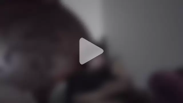 meximaloo1 photo 5