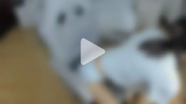 mia_vanucci1 photo 22