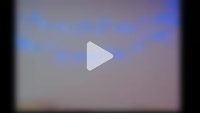 michell_bunny1 photo 2