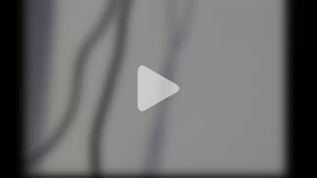 michell_bunny1 photo 24