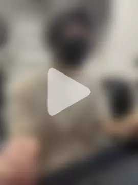 mikan_kun_st photo 15