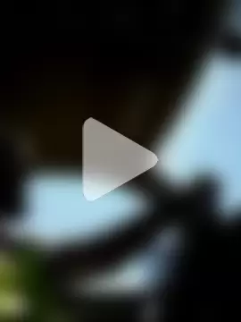 mikeystrong photo 25