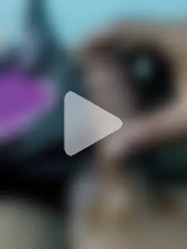 milonhardfuck photo 4