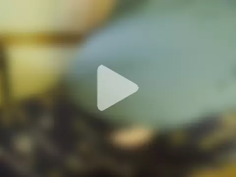 mnguy197269 photo 11