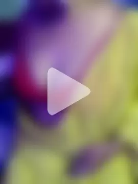 monaa-darling photo 11