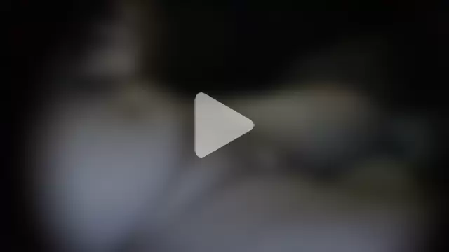 moneymaker50 photo 25