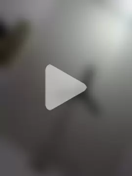 monster-dickk photo 6