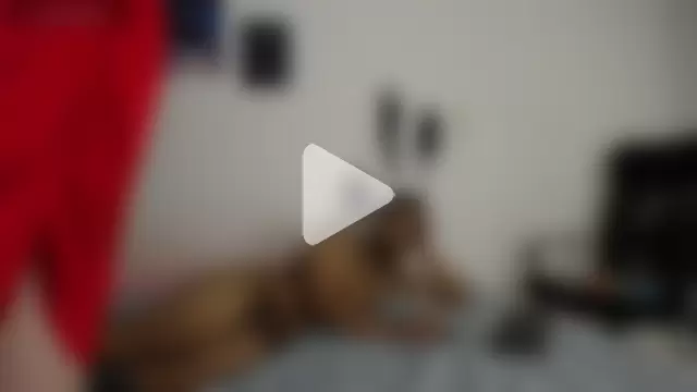 morbo_total69 photo 5