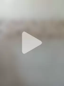 morenogato100 photo 6