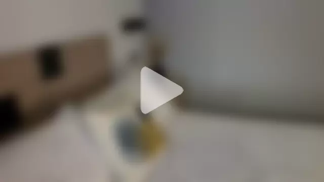 morninglorytv photo 19