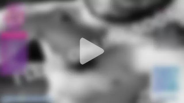 mr-k-quinn-x photo 10