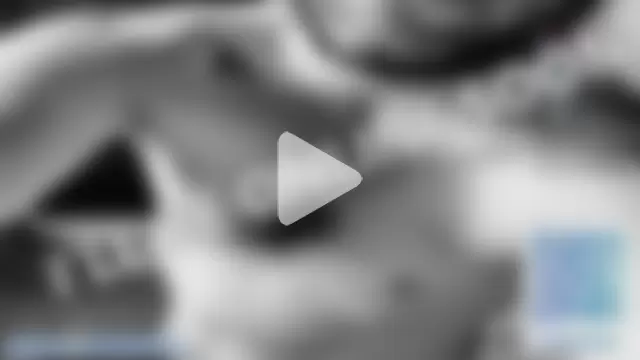 mr-k-quinn-x photo 7