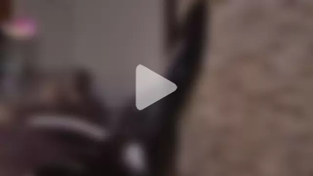 mr_david_cox photo 3