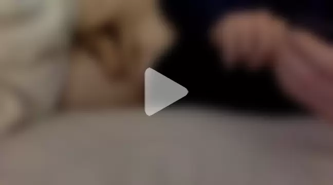 mrandmrspuding photo 2