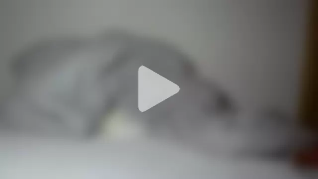 mrstitchback photo 5