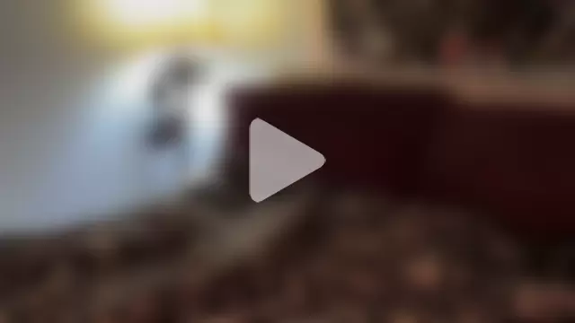 mysunidreamss photo 1