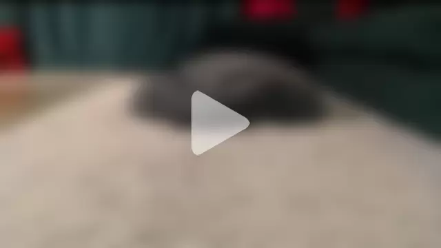 natasha-bigas photo 5