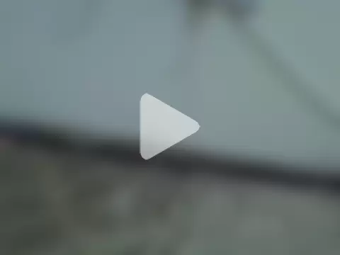 naughtycate_ photo 1