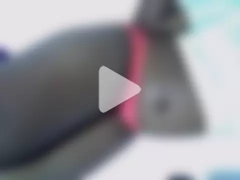 naughtycate_ photo 27