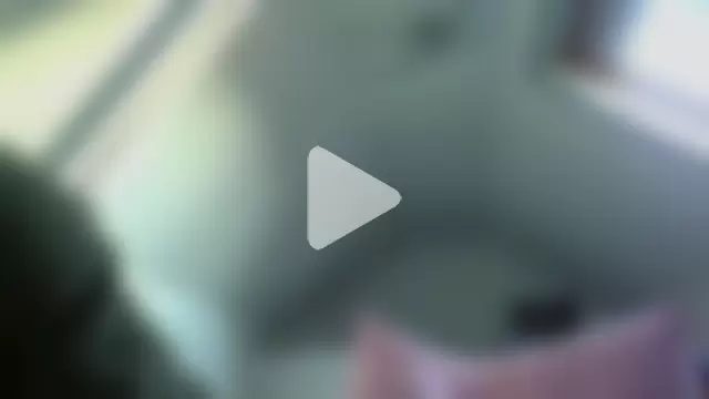 naughtygrandad1 photo 28