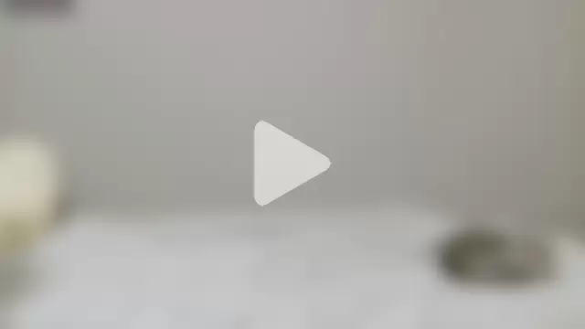 neko_ha_chan photo 3