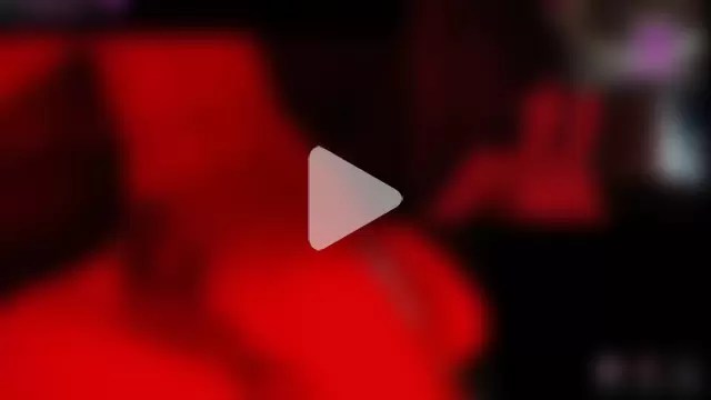 nephilaaranea photo 4