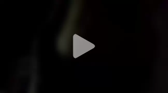 nevessartori photo 17