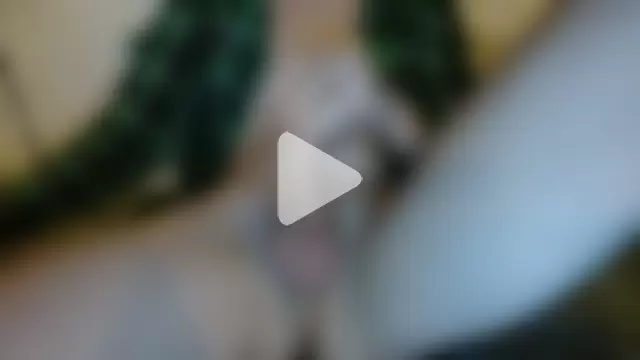 newcomer_2021 photo 4