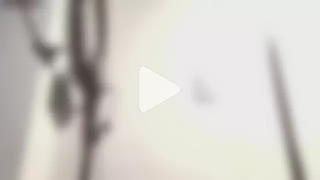 nicole__parker1 photo 29