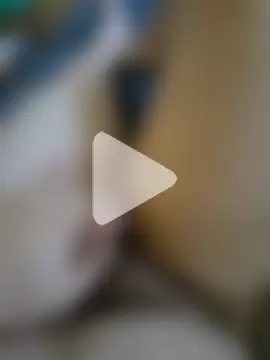 nik1997germany photo 6