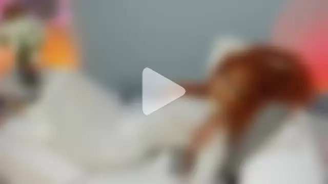 nohetanhai01__ photo 18