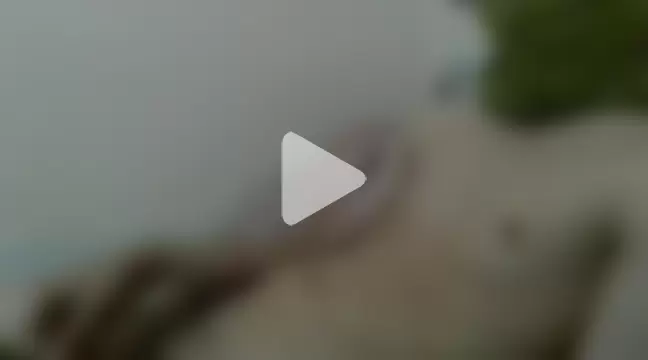 novinho242k photo 21