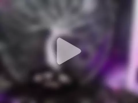 nyx_murtualer photo 23