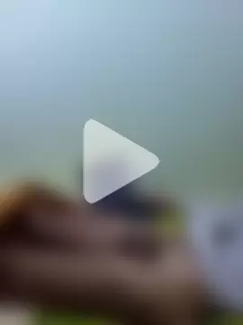 o7elbiehbedo photo 28