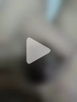 official_plsr5 photo 28