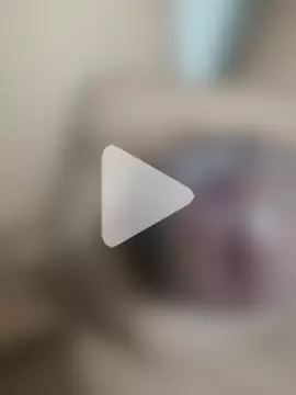 official_plsr5 photo 27