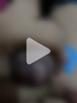 official_plsr5 photo 21