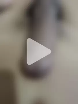 official_plsr5 photo 19