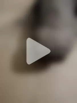 official_plsr5 photo 17